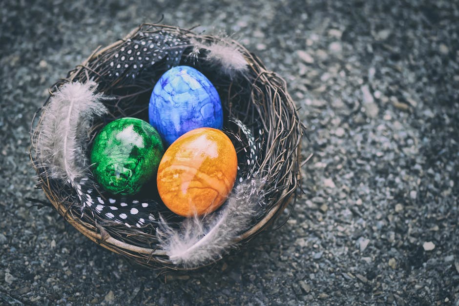  Hornissen bauen Nest im Frühjahr