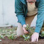 Güllefahren - Zeiten in der Landwirtschaft