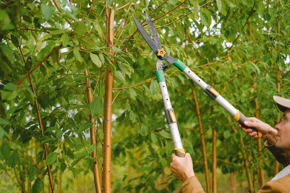 Bauern-Gülle-Fahrzeiten-bestimmen