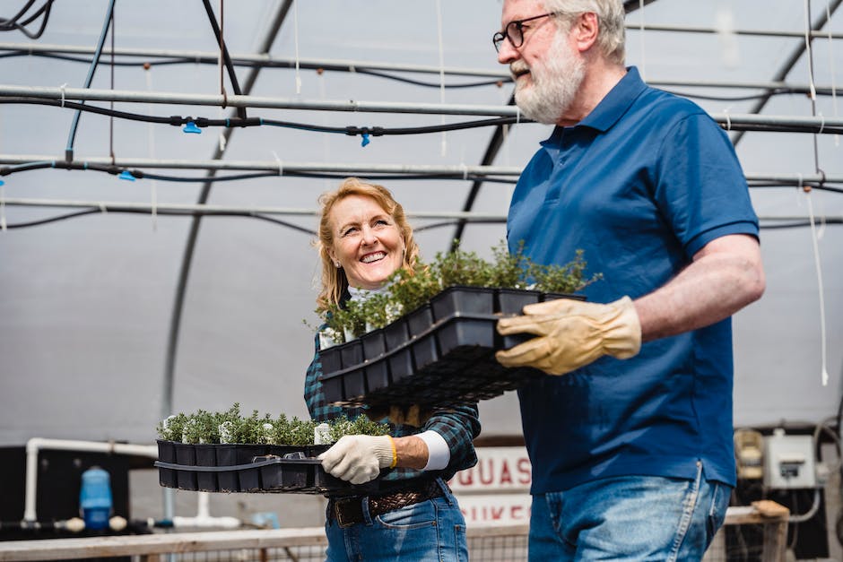  BauerSuchtFrau Wiederstart Termin 2021