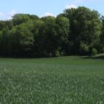 Bauvorschriften für Landschaftsschutzgebiete