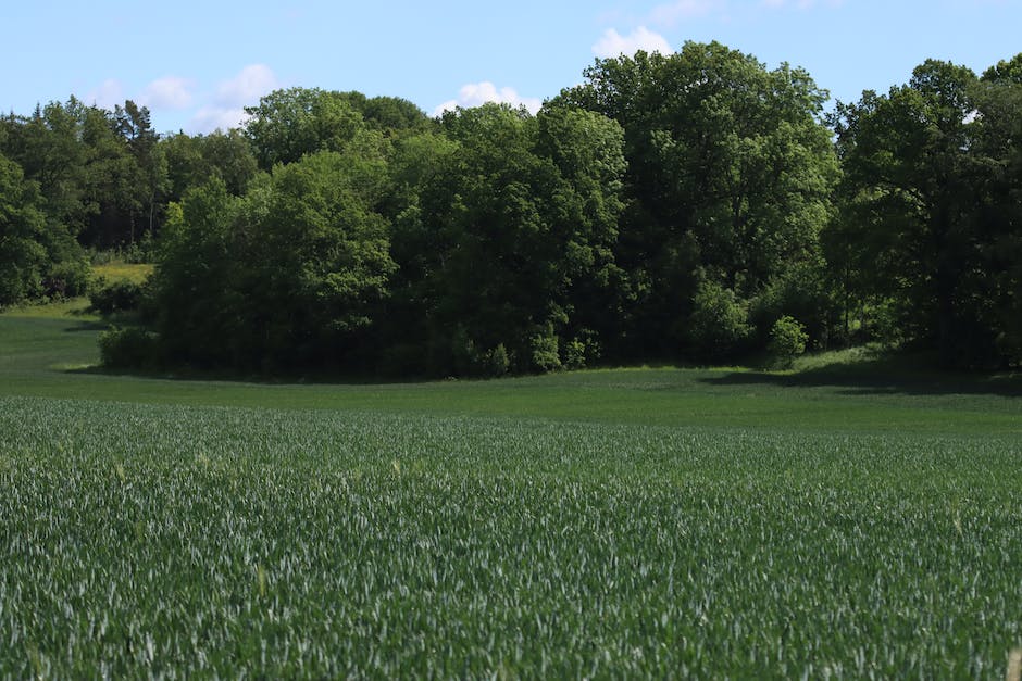 Bauvorschriften für Landschaftsschutzgebiete